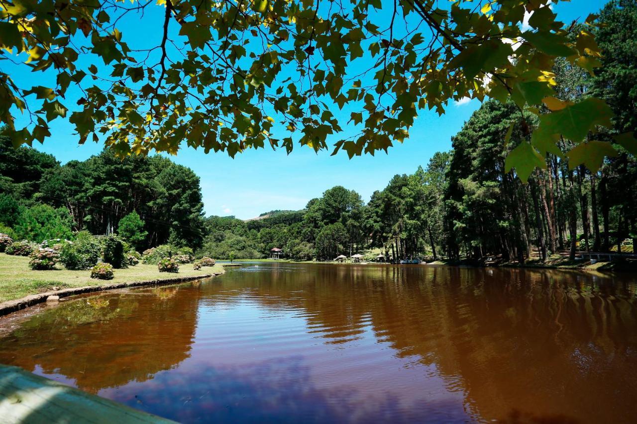 Hotel Fazenda Floresta Negra Monte Verde  Luaran gambar