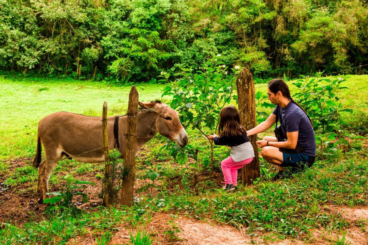 Hotel Fazenda Floresta Negra Monte Verde  Luaran gambar