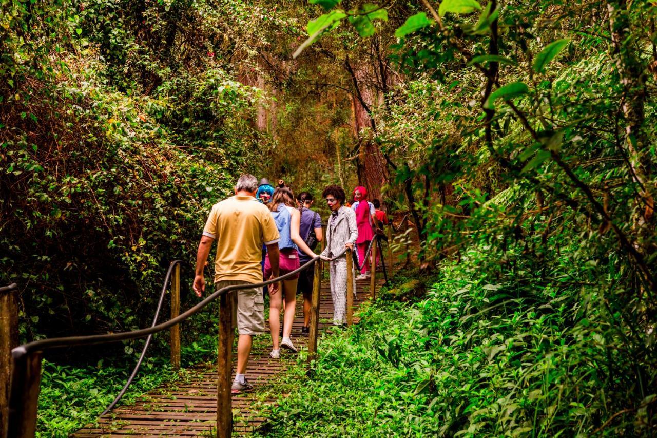 Hotel Fazenda Floresta Negra Monte Verde  Luaran gambar