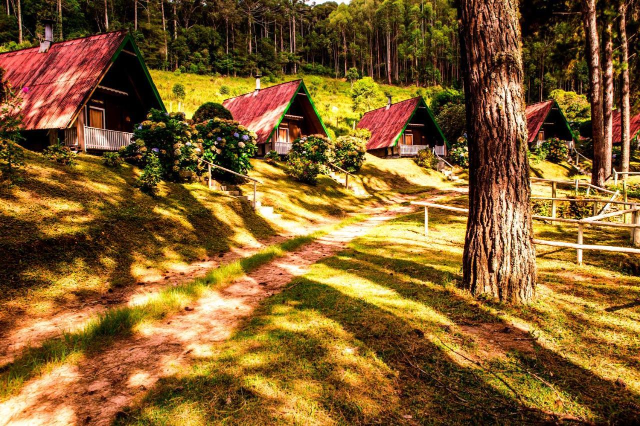 Hotel Fazenda Floresta Negra Monte Verde  Luaran gambar
