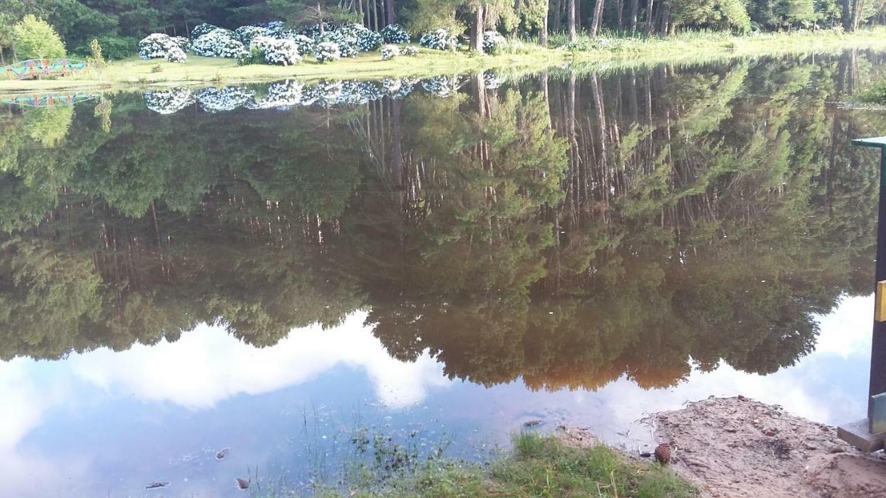 Hotel Fazenda Floresta Negra Monte Verde  Luaran gambar